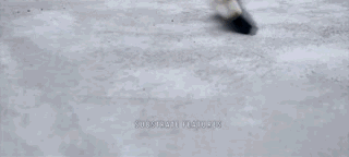 1533177630459050426.gif