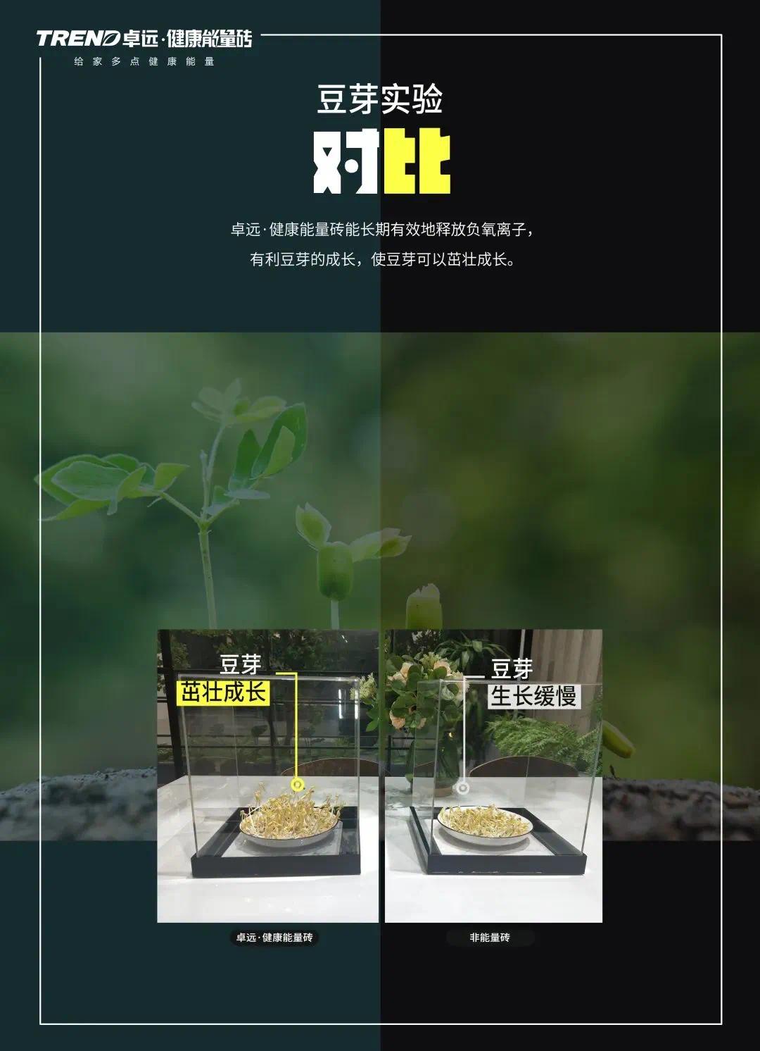 图片 (18).jpg