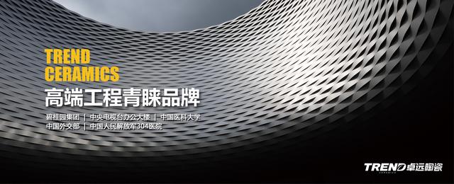 卓远·能量砖，再一次站在了领奖的舞台上