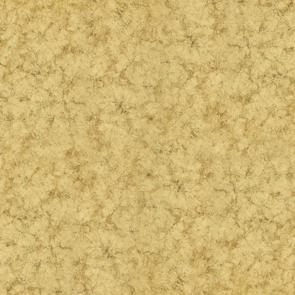 1533094879642097295.jpg
