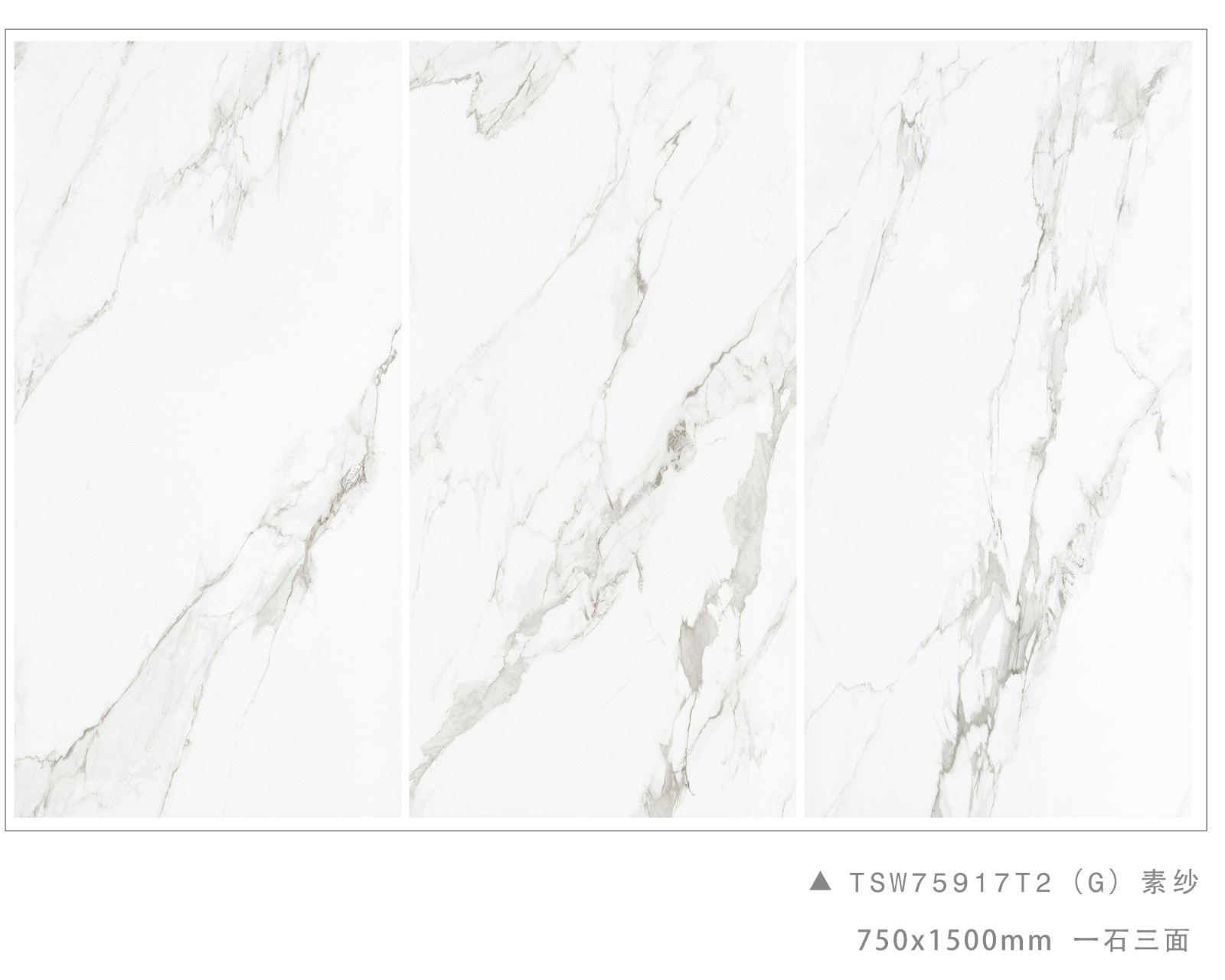 TSW75917T2（G） 素纱.jpg
